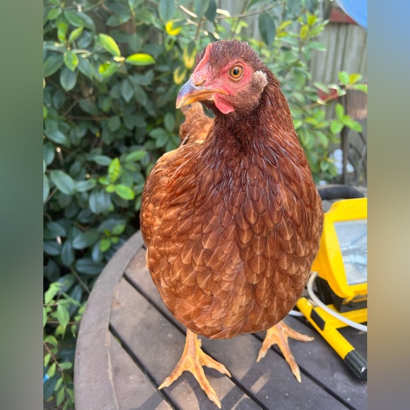 My greatest Blessing is my Family - Picture 10 of 13